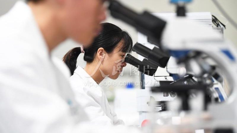 临床试验数据管理：CRo如何高效保障数据质量
