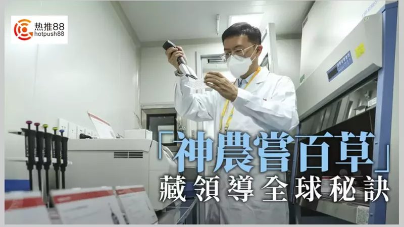 CDMO质量标准哪家好