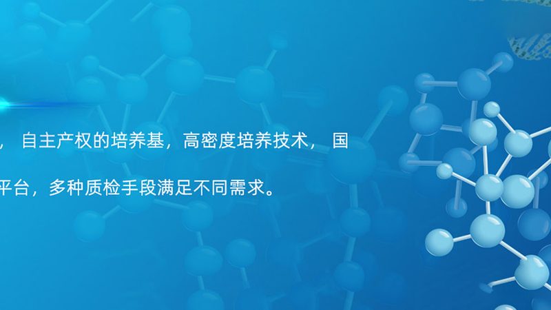如何识别靠谱的CRO优化团队：关键要素与避坑指南**