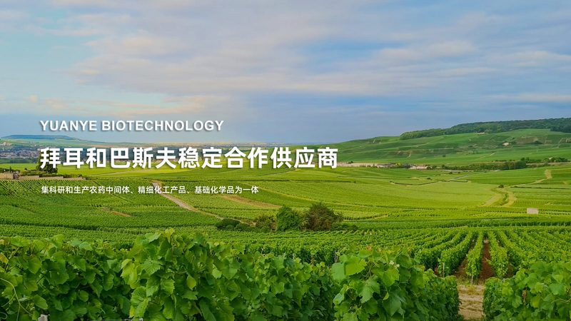 elisa试剂盒使用注意事项