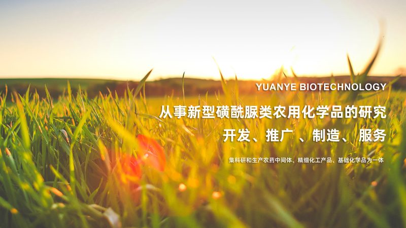 细胞工厂质检标准：揭秘生物制药品质保障的关键