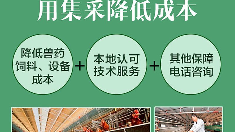 酶制剂储存温度监控：守护生物活性，确保科研品质**