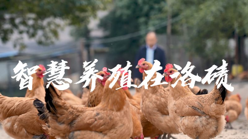 酶：生命科学的“魔术师”——用途分类解析**