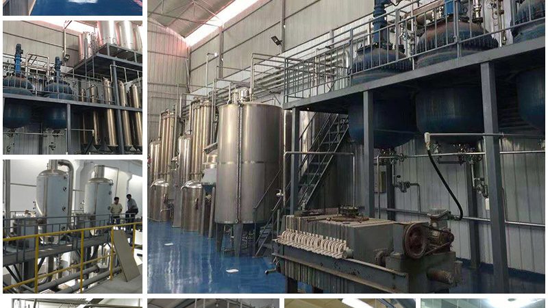 基因检测与基因筛查：揭秘两者间的微妙差别