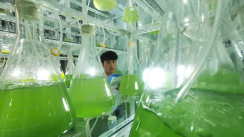 疫苗类生物制品生产批文：价格背后的考量因素